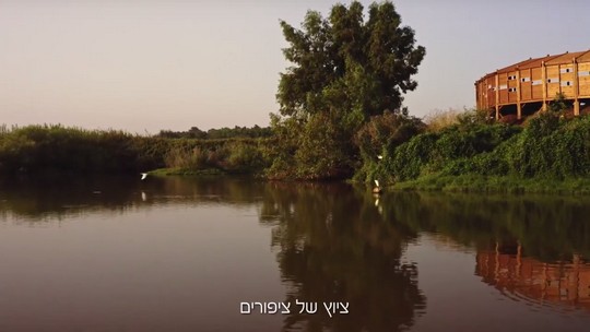 רוכבים לעבודה בגלל שאפשר לשמוע ציוץ של ציפורים