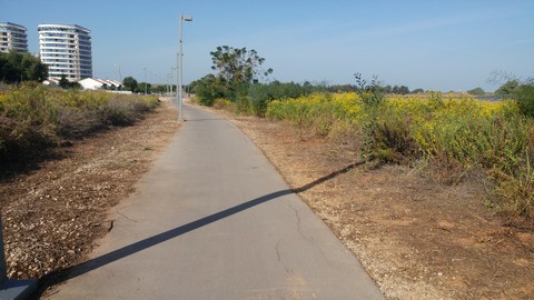 גיזום צמחיה פולשת לצד שביל אופניים ברחוב 2379 תל אביב