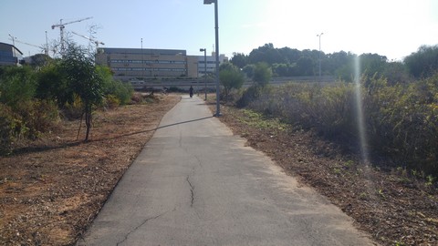 גיזום צמחיה פולשת לצד שביל אופניים ברחוב 2379 תל אביב