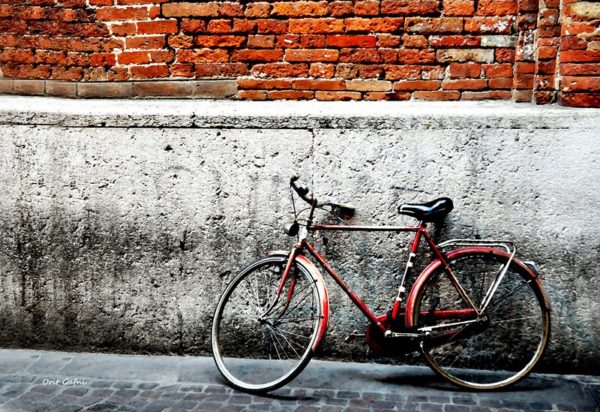 אורית גפני | רק אופניים Orit Gafni | Just Bicycles
