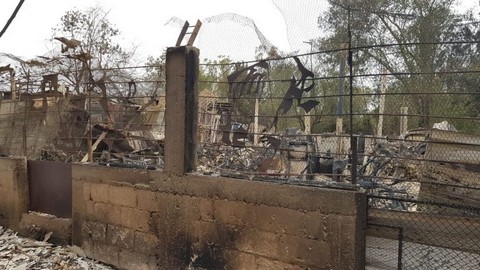 מבנה עמותת אתגרים אחרי השריפה בקיבוץ הראל מאי 2019