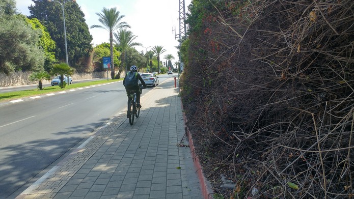 שדרות קרן קיימת לישראל גיזום שני 2017