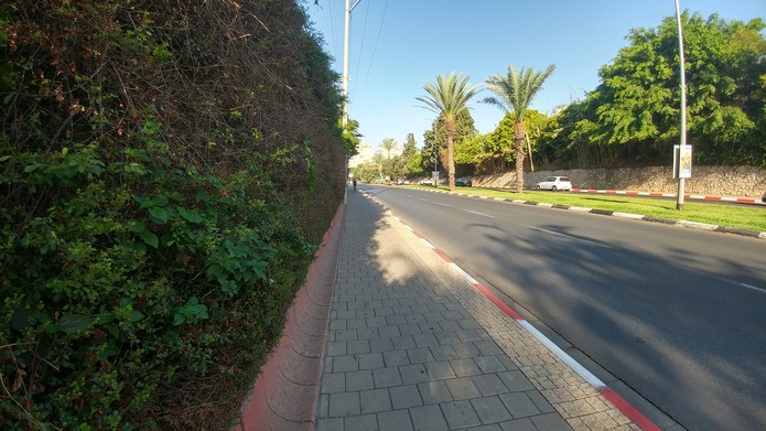 שדרות קרן קיימת לישראל גיזום שלישי 2017