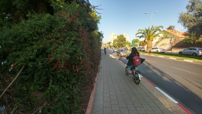 שדרות קרן קיימת לישראל גיזום שלישי 2017