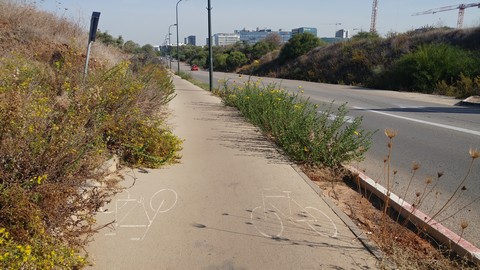 צמחיה פולשת לשביל אופניים ברחוב ישעיהו ליבוביץ בהרצליה