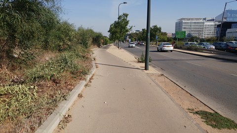 גיזום צמחיה פולשת לשביל אופניים ברחוב ישעיהו ליבוביץ בהרצליה