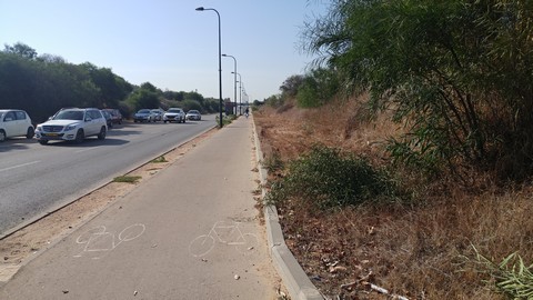 גיזום צמחיה פולשת לשביל אופניים ברחוב ישעיהו ליבוביץ בהרצליה
