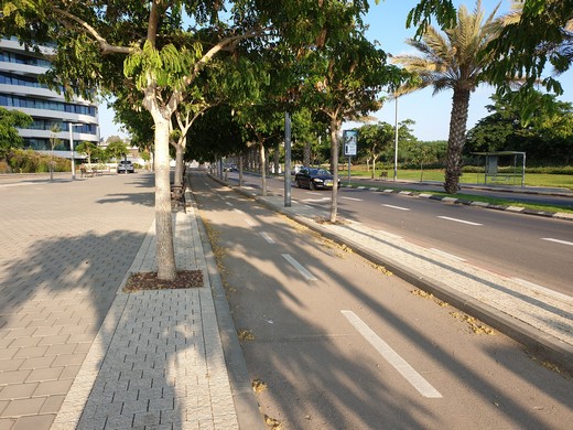שביל אופניים ברחוב יוניצמן עם עצים וצל. צולם בחודש יוני 2019. צילם: ערן שחורי